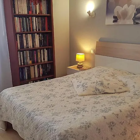 Daire Beautiful Apartment With Balcony In Saint Raphael